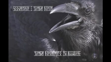Skogarmaor - Black Raven（歌词视频）