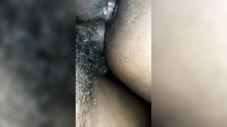 泰米尔阿姨的母乳